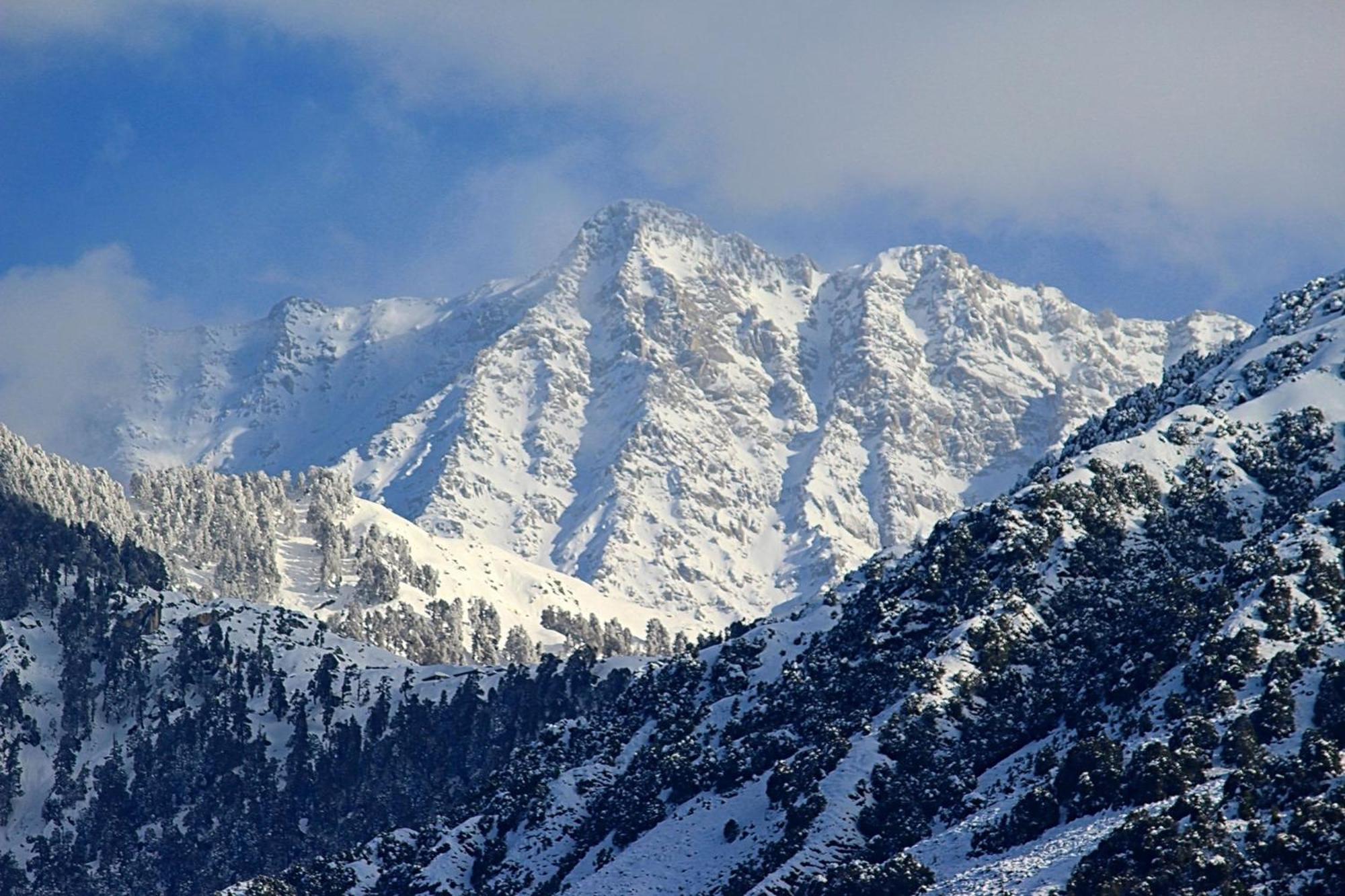 Hotel Bliss Valley Dharamshala - Beautiful View Of Mountains From Rooms Eksteriør bilde
