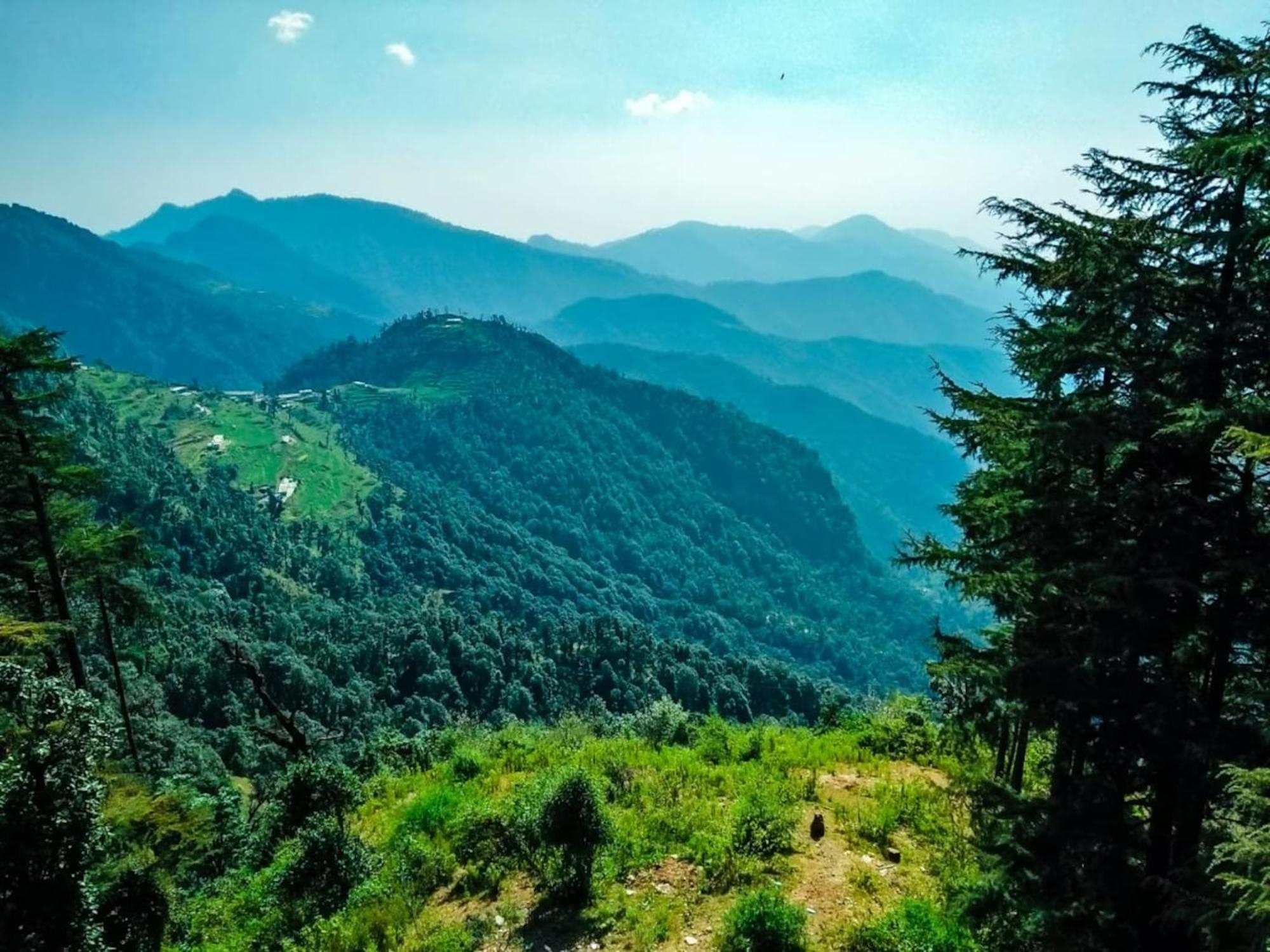 Hotel Bliss Valley Dharamshala - Beautiful View Of Mountains From Rooms Eksteriør bilde